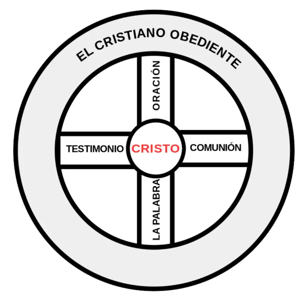 Presentamos la ilustración de la Rueda